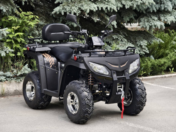 Квадроцикл RATO (Рато) CABO 250 LD (машинокомплект) | Мототека